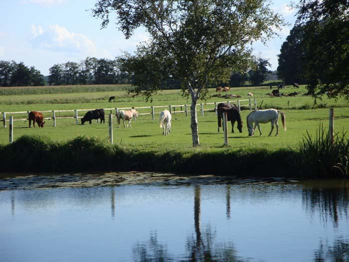 Pension Am Birkensee Detern Kültér fotó