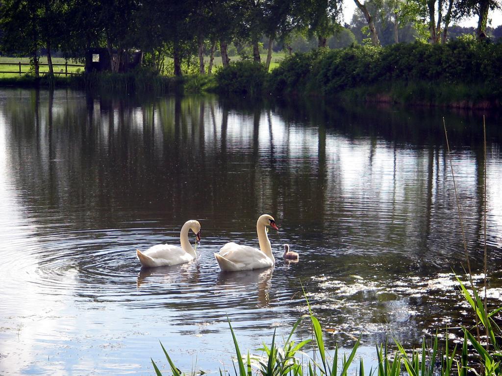 Pension Am Birkensee Detern Kültér fotó